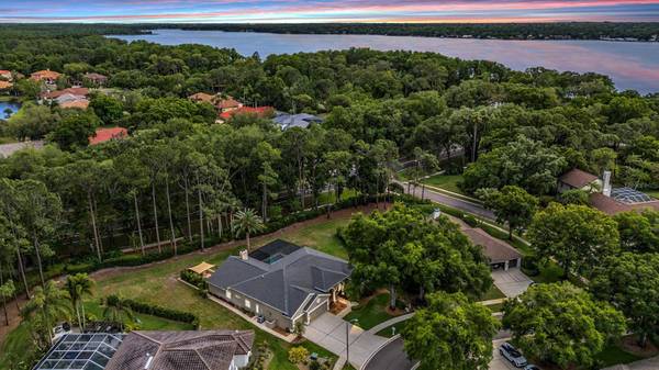 3596 FLORIAN TER, Palm Harbor, FL 34685