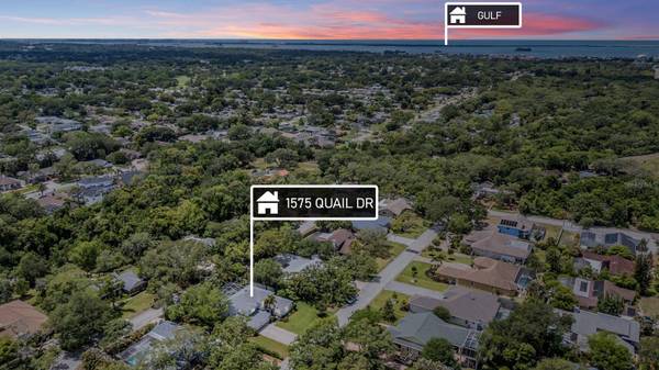 1575 QUAIL DR, Dunedin, FL 34698