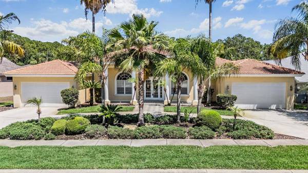 4561 ROANOAK WAY, Palm Harbor, FL 34685