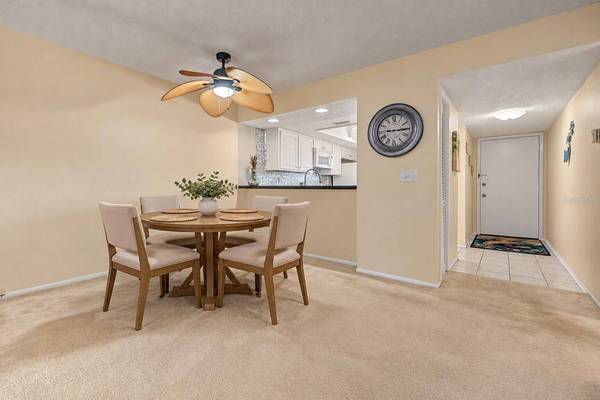 110 LAKESIDE CT #110, Oldsmar, FL 34677