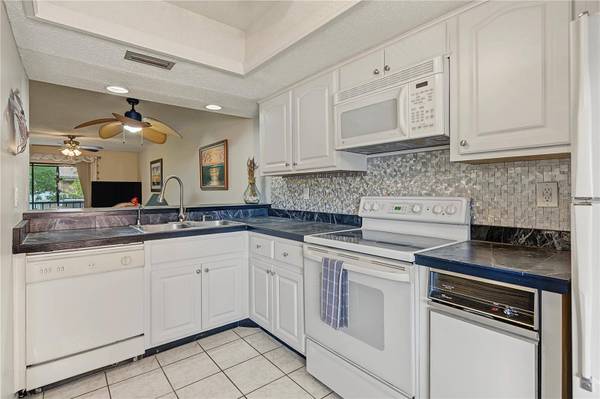 110 LAKESIDE CT #110, Oldsmar, FL 34677