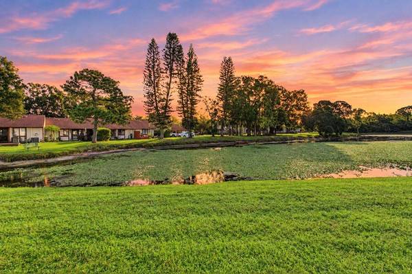 127 CAMPHOR DR #E, Oldsmar, FL 34677