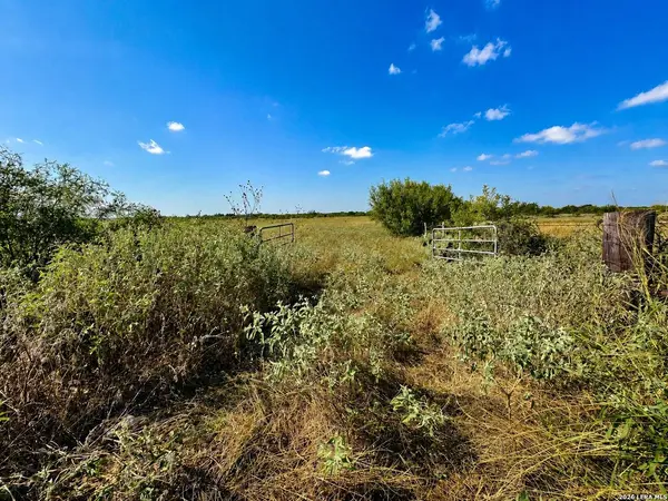 0 FM 1333, Poteet, TX 78065