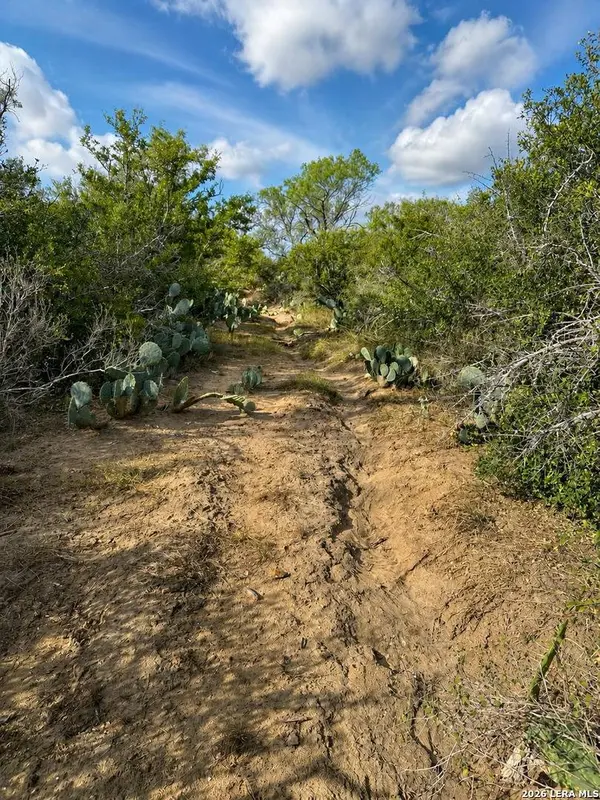 0 FM 1333, Poteet, TX 78065
