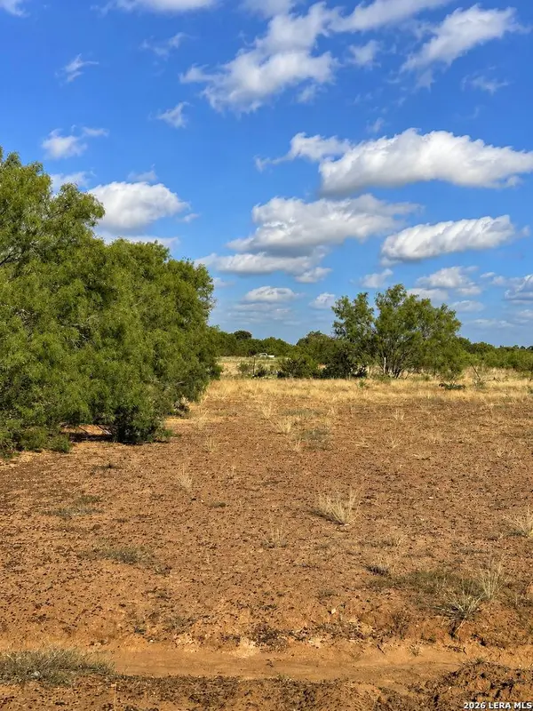 0 FM 1333, Poteet, TX 78065