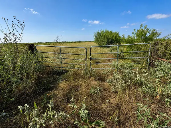 0 FM 1333, Poteet, TX 78065