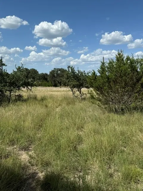137 W Pat Dolan, Blanco, TX 78606-4438