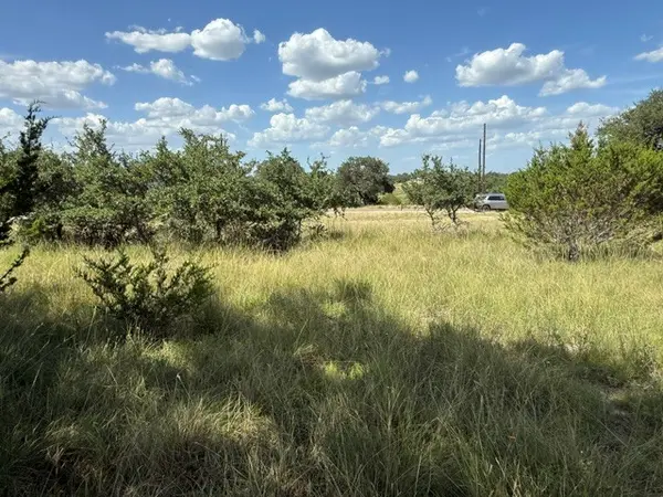 137 W Pat Dolan, Blanco, TX 78606-4438