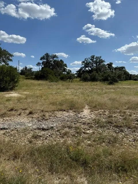 137 W Pat Dolan, Blanco, TX 78606-4438