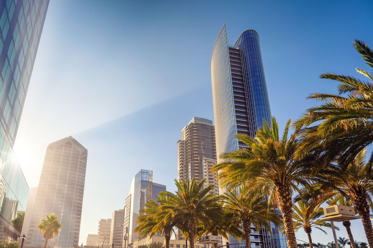 Downtown San Diego skyline with palm trees