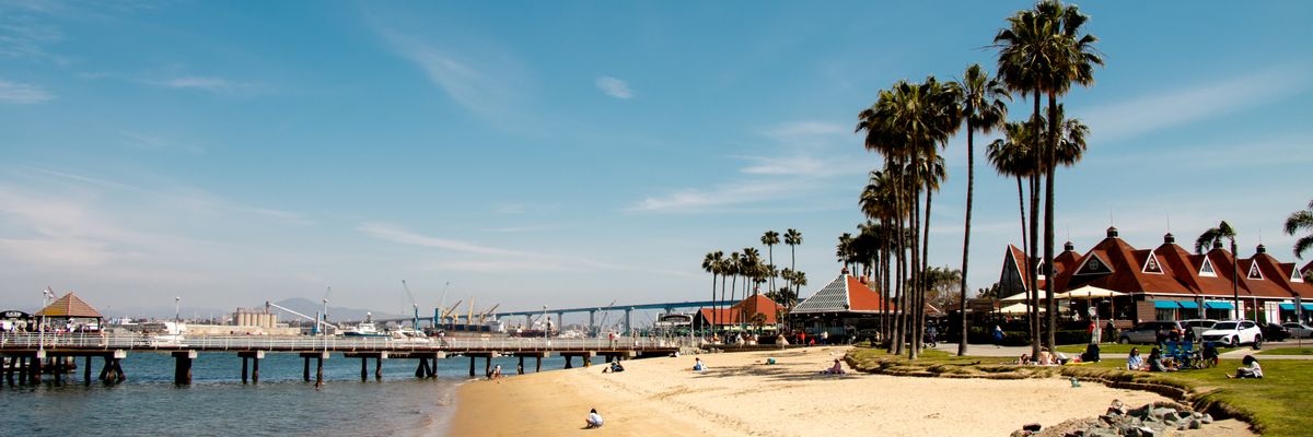 Beach and palm trees in Coronado, California
