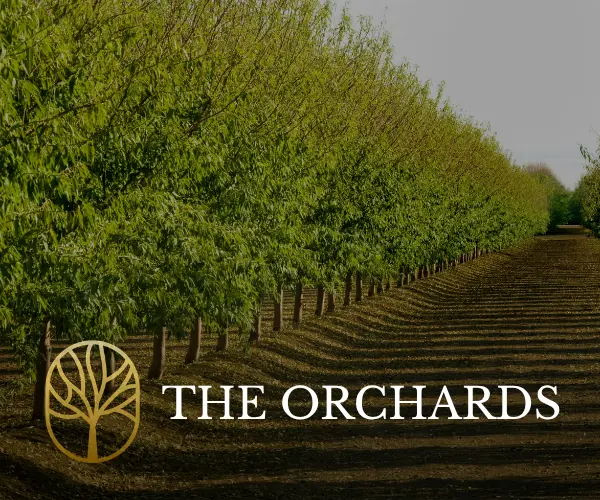 The Orchards 