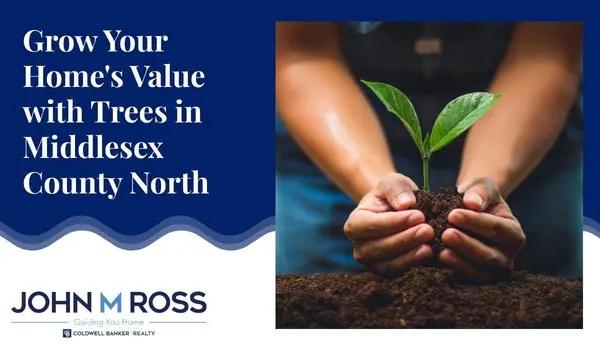 Grow Your Home's Value with Trees in Middlesex County North,John M. Ross