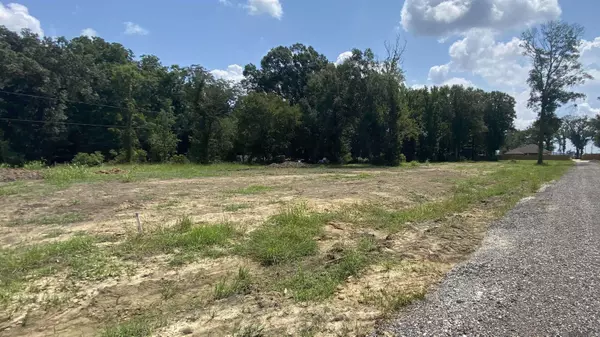 35706 Sha Da Loo Lane, Geismar, LA 70743