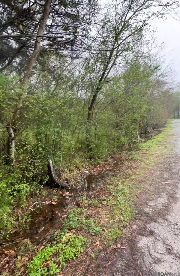 TBD Highway 23, Belle Chasse, LA 70037