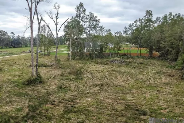 34079 Pasture 1024 Ln, Denham Springs, LA 70706