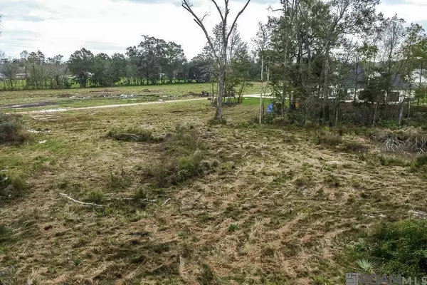 34079 Pasture 1024 Ln, Denham Springs, LA 70706