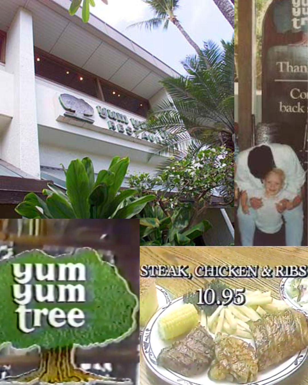 Yum Yum Tree