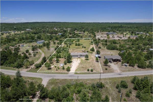 178 Ponderosa LOOP