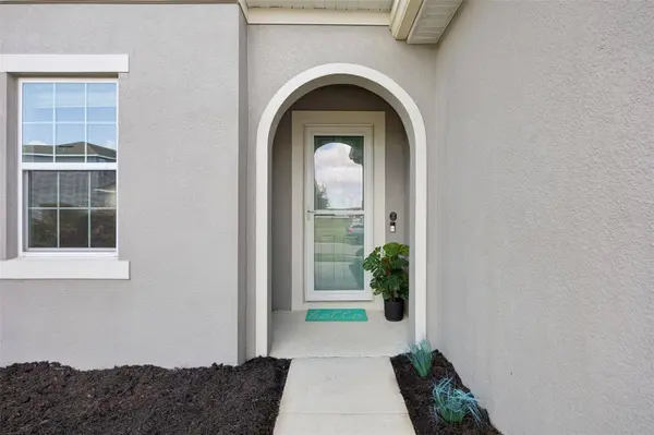 1096 ALDER TREE DR, Apopka, FL 32703