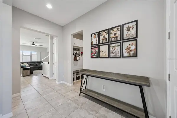 1096 ALDER TREE DR, Apopka, FL 32703