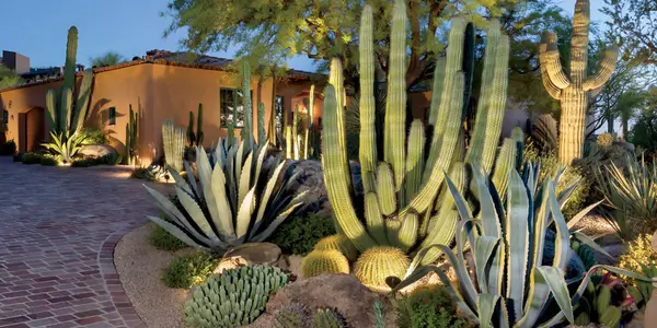 First Impressions Matter: Boost Your Desert Home’s Curb Appeal to Attract Buyers