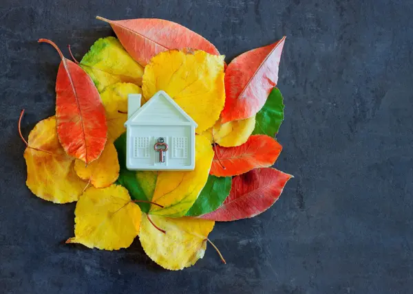 feature image of  Autumn in the Imperial Valley: How Cooler Weather Can Bring a Change to Your Home and the Real Estate Market