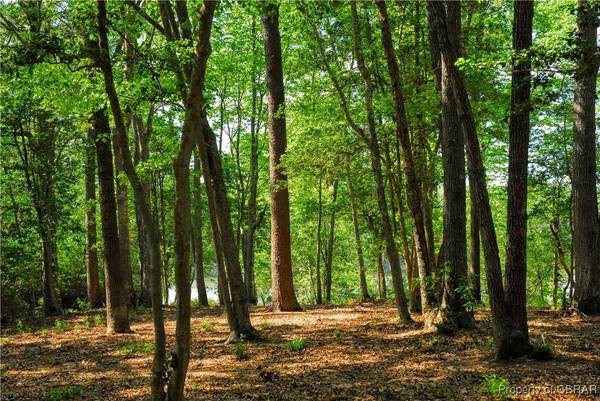 1 Hoecake RD, Lancaster, VA 22503