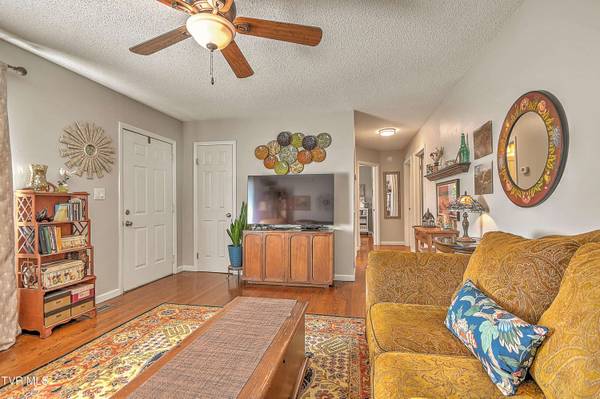 115 Boone AVE, Gray, TN 37615