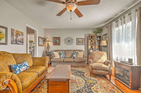 115 Boone AVE, Gray, TN 37615