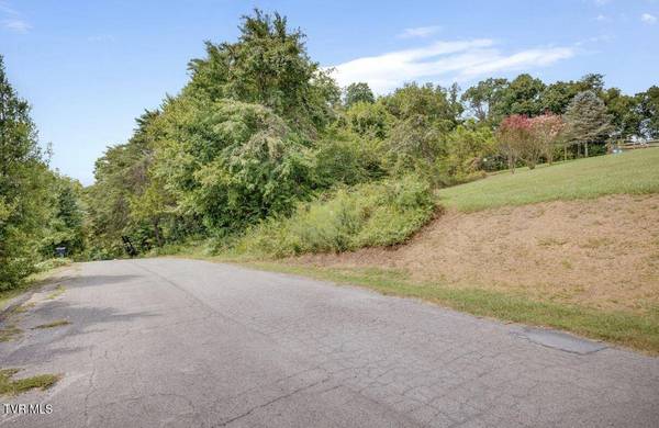 Tbd Grandview CIR, Rogersville, TN 37857