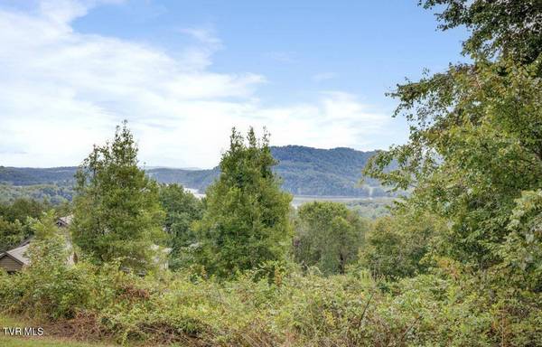 Tbd Grandview CIR, Rogersville, TN 37857