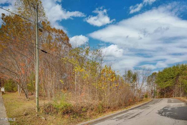 501 Wood View CT, Kingsport, TN 37664