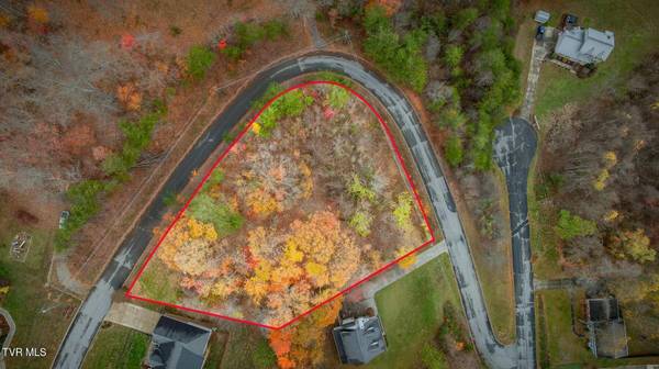 501 Wood View CT
