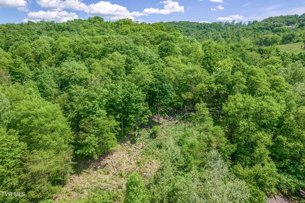231 Ollis Bowers Hill RD, Kingsport, TN 37664