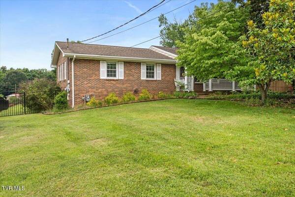 233 Piercy ST, Blountville, TN 37617