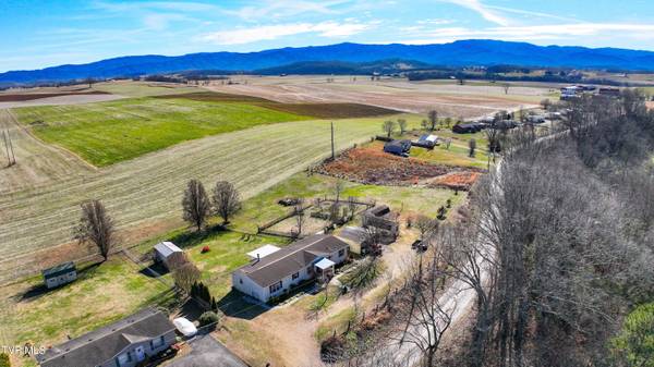 296 Davy Crockett RD, Limestone, TN 37681