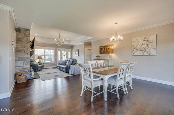 1195 Panoramic VIS, Johnson City, TN 37615