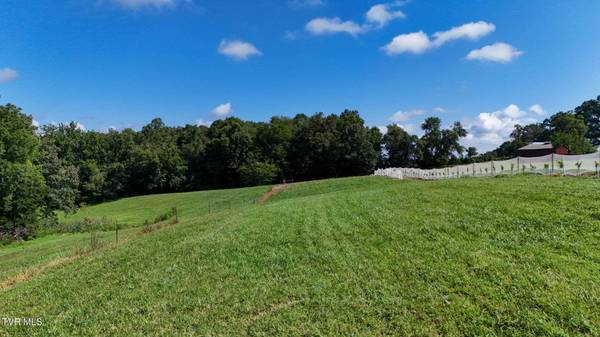 433 California AVE, Church Hill, TN 37642