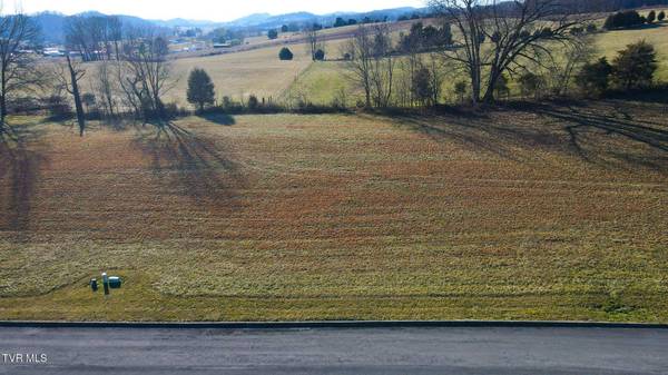 Lot 34 Walnut Grove DR, Church Hill, TN 37642