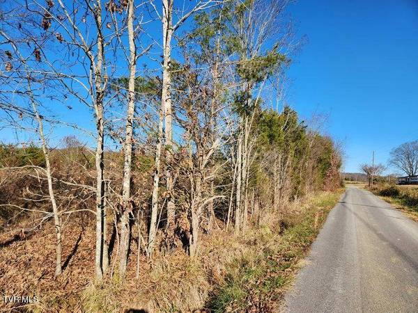 5.14 Ac Wells Hill LN, Bulls Gap, TN 37711
