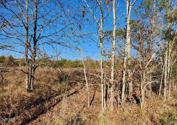 5.14 Ac Wells Hill LN, Bulls Gap, TN 37711