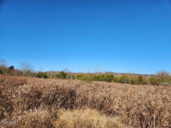 5.14 Ac Wells Hill LN, Bulls Gap, TN 37711