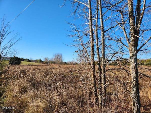5.14 Ac Wells Hill LN, Bulls Gap, TN 37711