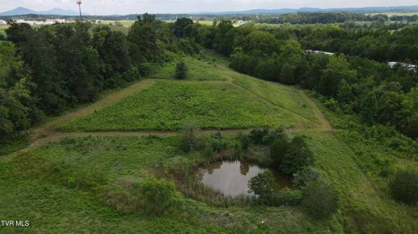 11.38 Ac Wells Hill LN, Bulls Gap, TN 37711
