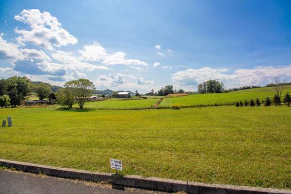 Lot 42 Walnut Grove DR, Church Hill, TN 37642