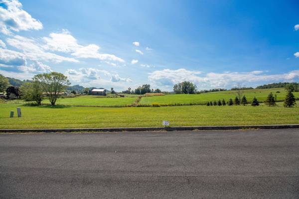Lot 42 Walnut Grove DR, Church Hill, TN 37642