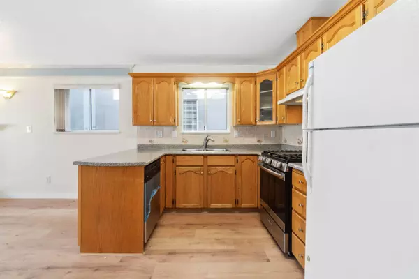 362 E 56th AVE, Vancouver, BC V5X 1R3