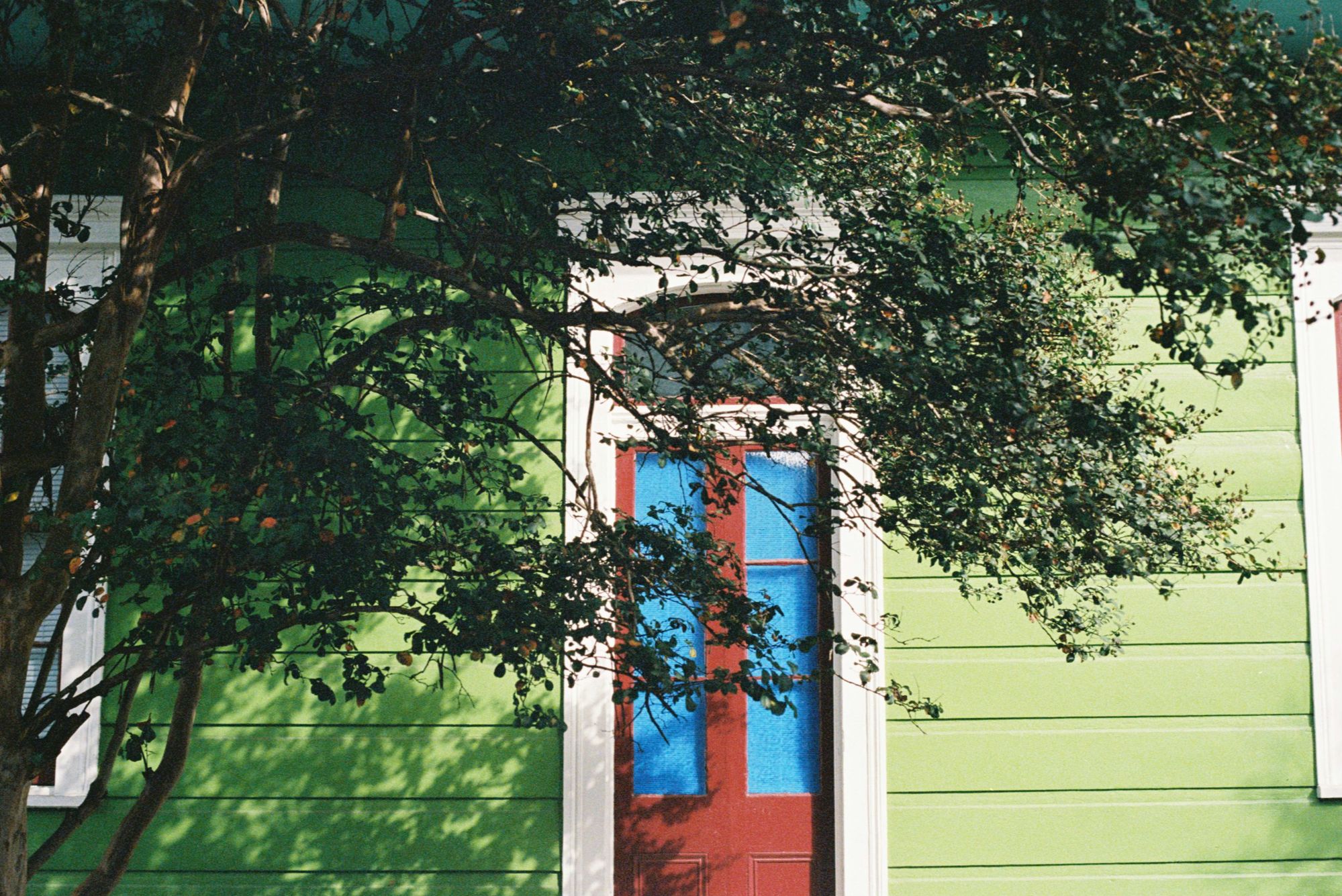 Quiet tree-lined street in Gentilly