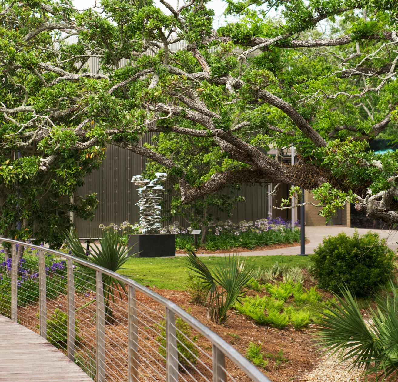 Live oaks and lagoon in City Park